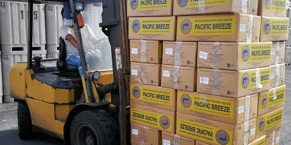 Ecuadorian shipments to China, the United States and Europe are looking on course for historic highs this year.