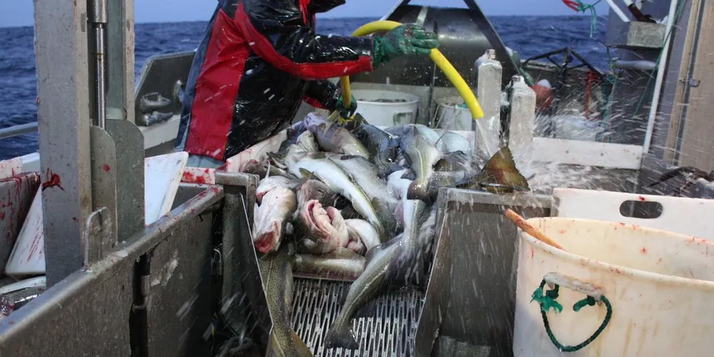 Det blir stadig færre fiskere langs kysten av Helgeland og Salten. Ill.foto: Arne Fenstad.