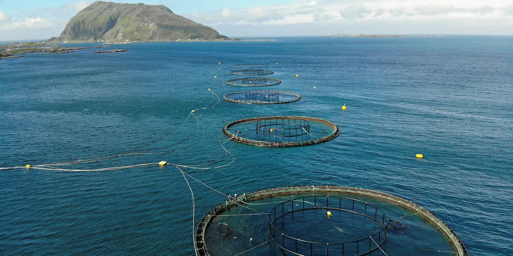 Net pens aren't going away any time soon, Mowi Chairman Ole-Eirik Leroy said at the IntraFish Seafood Investor Forum in London on Sept. 19.