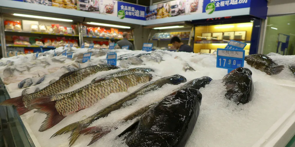 Fish on display at Metro in Shanghai.