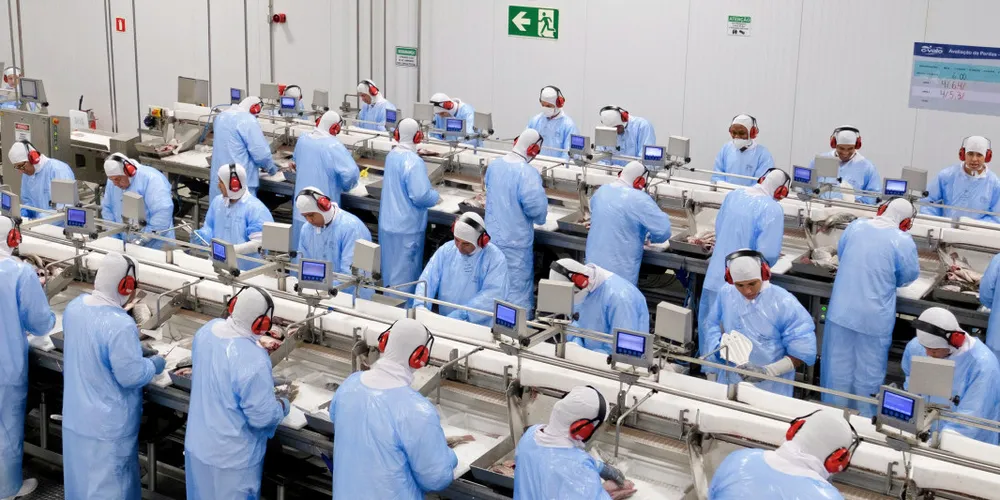 Brazilian aquaculture producers say they have been unfairly singled out under the EU ban. This picture was taken at Tilapia producer C.Vale's plant prior to the COVID-19 pandemic.
