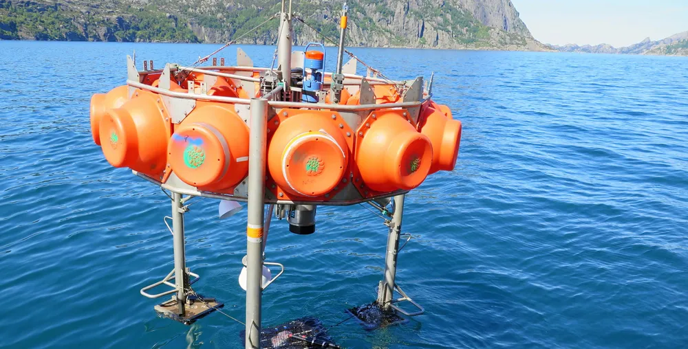 Sintef skal sette ut bøyer i Trondheimsfjorden i sommer. De vil gi lange tidsserier om tilstanden i fjordsystemet. Bildet er undervannskamera som filmer det som skjer på havbunnen.