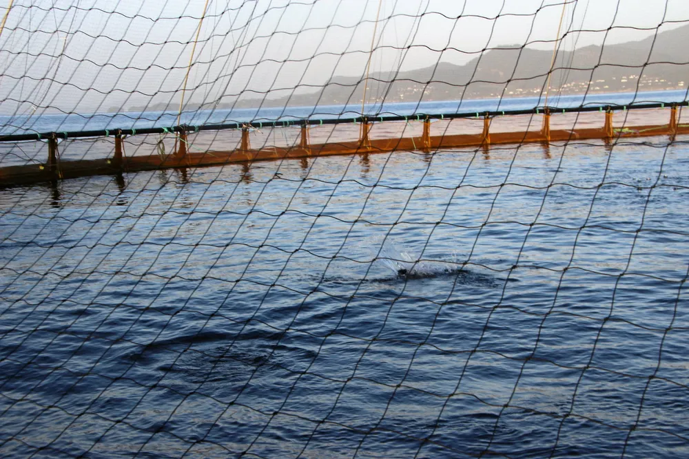 Hva skjuler seg nede i merden? Kamerasystemet kan være til god hjelp for å overvåke fisken, mener Mattilsynet. Anlegget på bildet har ingen direkte tilknytning til denne saken.