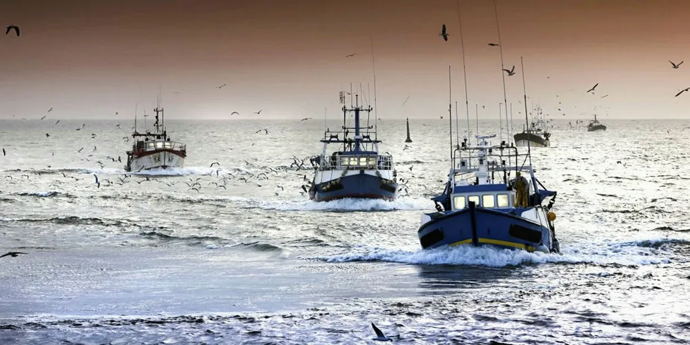 French blockades cost seafood industry ‘hundreds of thousands’ of euros last week