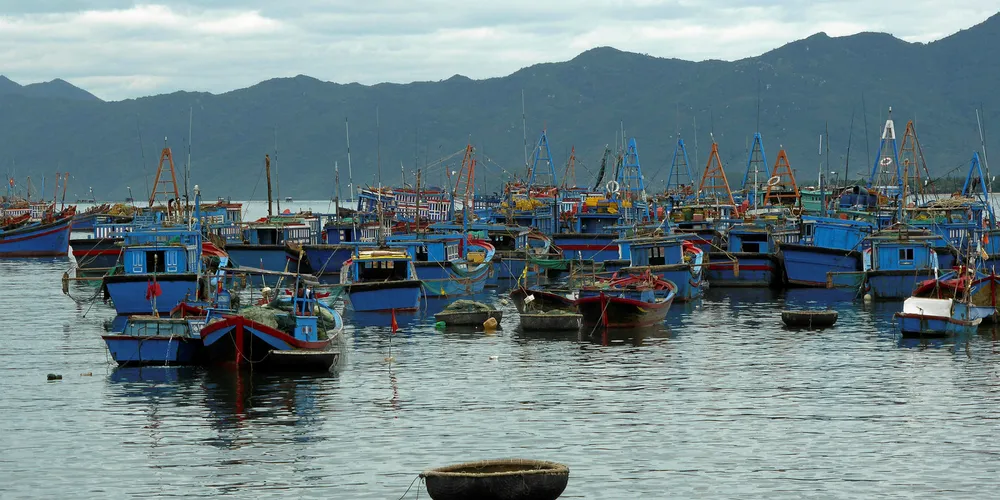 The "yellow card" is considered a warning and offers the possibility for Vietnam to take measures to rectify the situation within a reasonable time frame.