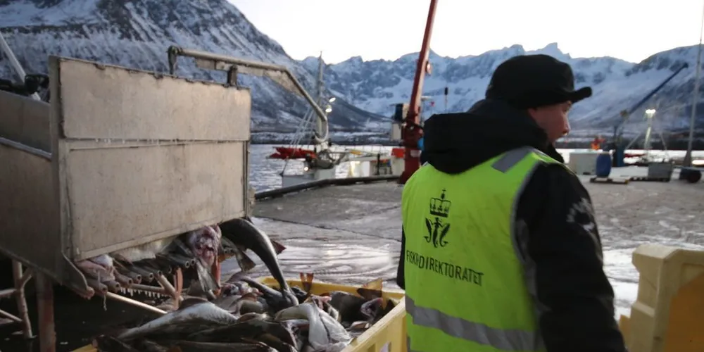 Steinar Eliassen møter motsand når han sier torskelandinger til 900 millioner kroner årlig forsvinner uregistrert. Illustrasjonsfoto: Arne Fenstad
