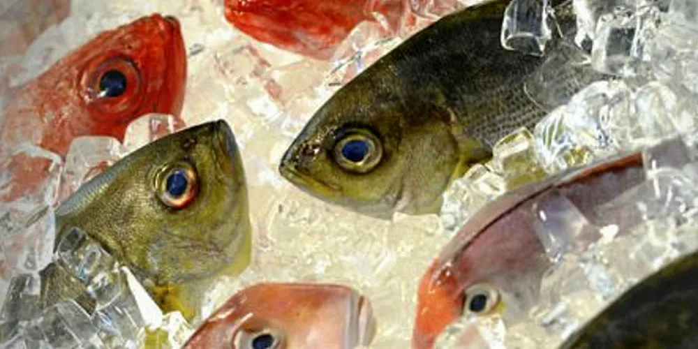 The US-based seafood supplier is expanding.