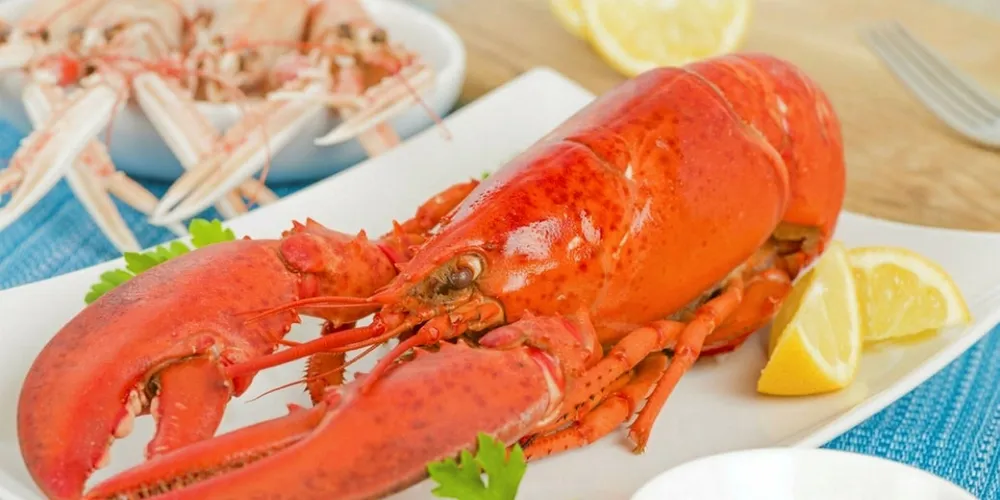 Thai Union reshuffles Canadian lobster operations