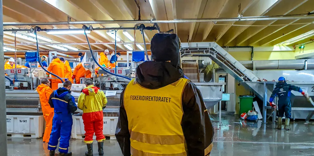 Det er på høy tid at Fiskeridirektoratet presenterer resultater fra den risikostyrte landingskontrollen.