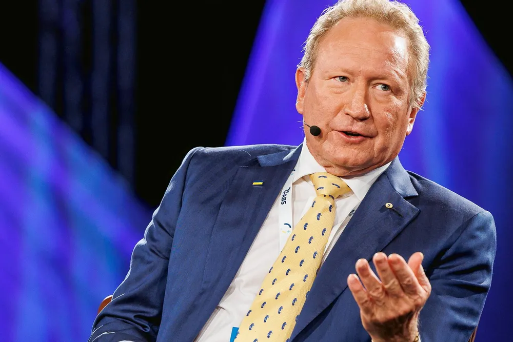 Fortescue Metals Group chairman Andrew Forrest.
