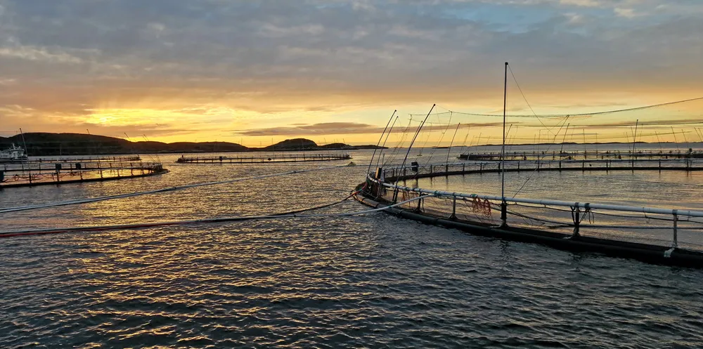 Bildet viser en av torskeoppdretteren Norcod sine lokaliteter på Frøya.