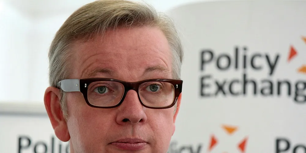 Michael Gove led the campaign for Britain to leave the EU. He is now secretary of state for the environment, food and rural affairs.