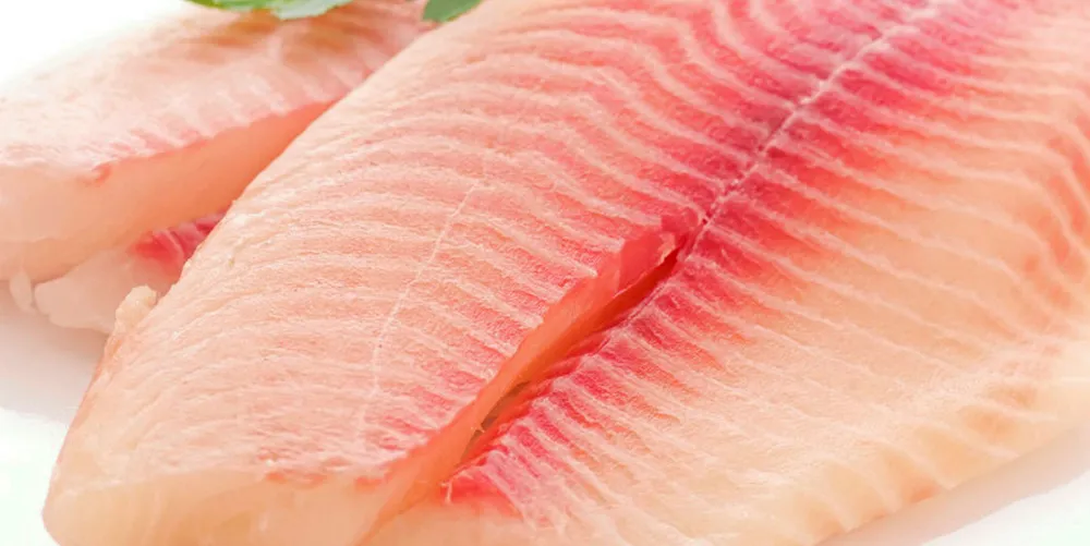 Fresh tilapia filet.