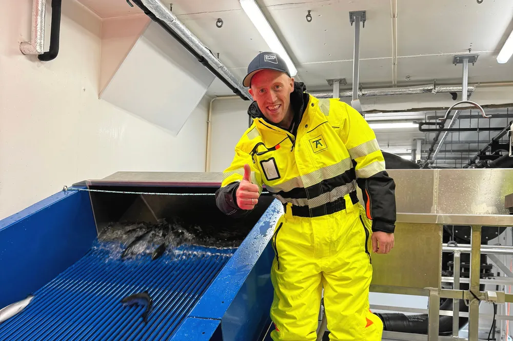 Carl Johan Sandberg blir ny sjef i Sævareid fiskeanlegg.