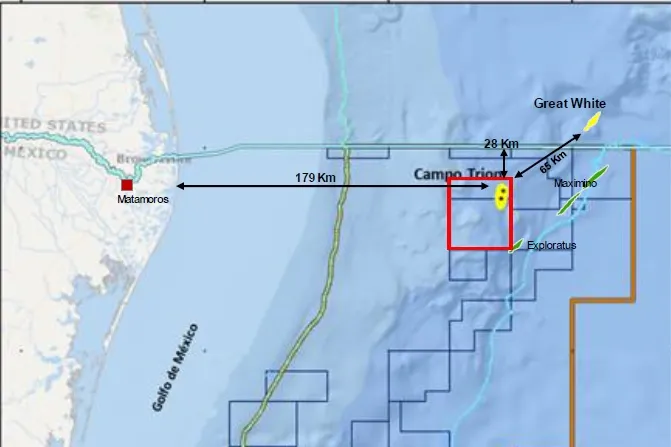 Deep-water field: the Trion discovery lies off the coast of Mexico