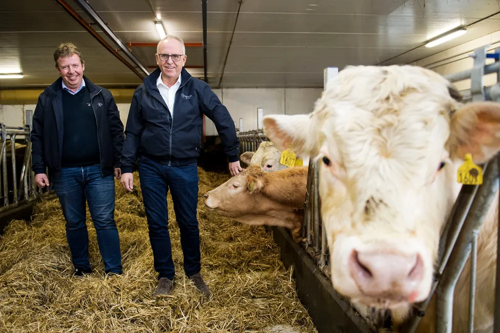 Entreprenørene Tommy (til venstre) og Olav Stangeland liker seg bedre i fjøset enn å diskutere aksjer.