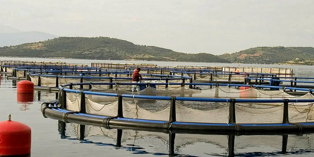 Diorasis International signs deal for Selonda, Nireus assets