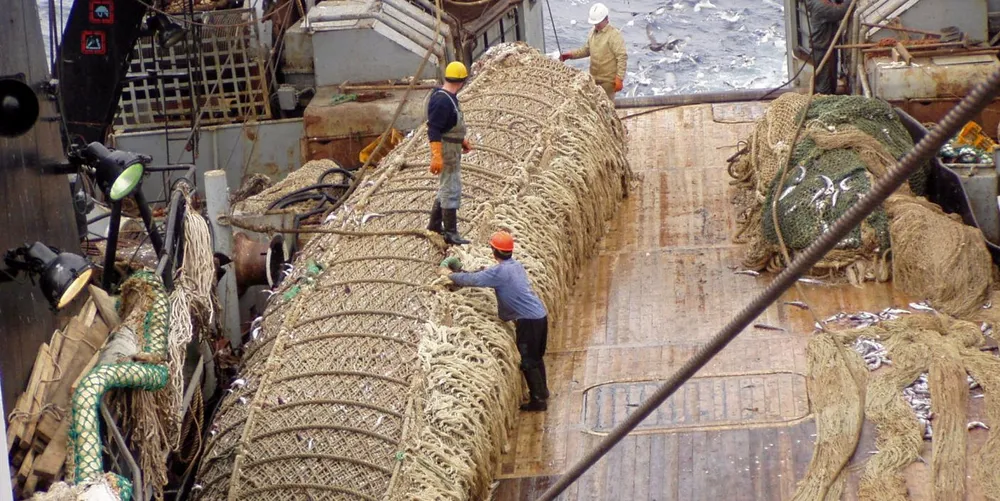 There are also expectations that Russia’s Petropavlovsk Komandorsk and North Kuril fisheries will also be MSC-certified later this year, which means the majority of Russia’s pollock will then have the blue eco-label.