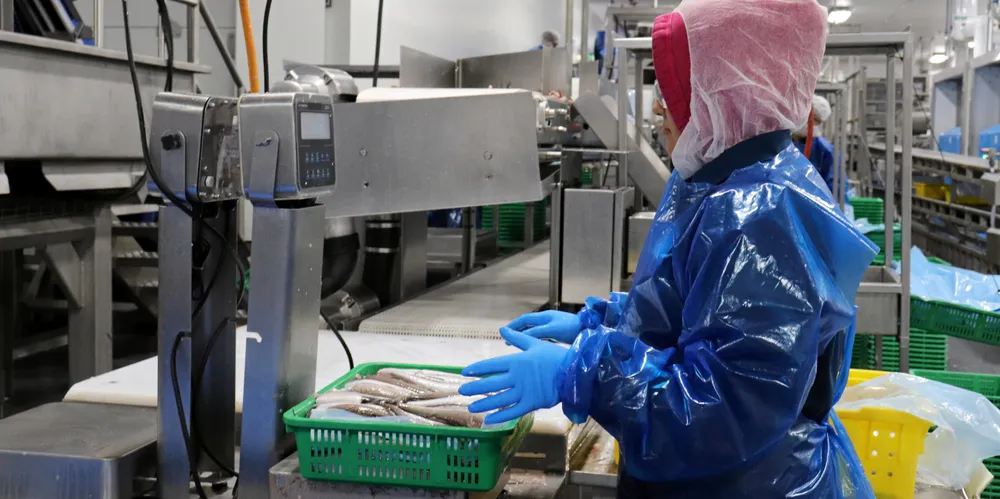 Pacific Seafood is one of the processors in Oregon that said it is struggling to comply with new wastewater regulations.