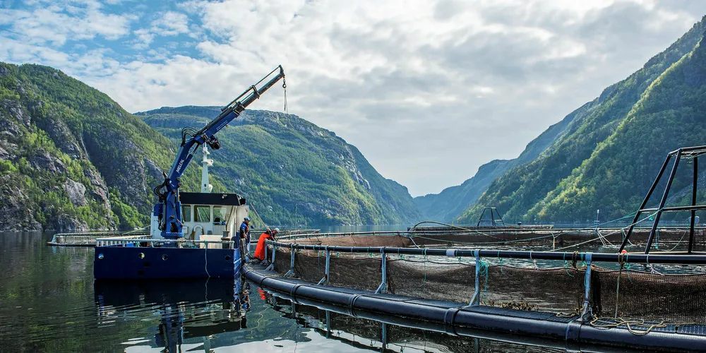 Benchmark is a leader in aquaculture health, nutrition and genetics.