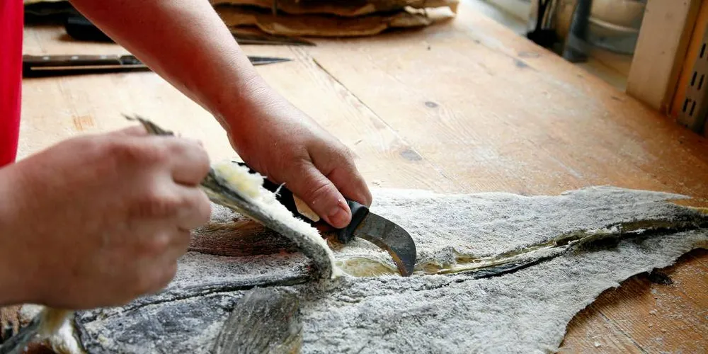 GAMMEL: Produksjonen av klippfisk kan dateres tilbake til 1200-tallet. I Norge startet det med en nederlender som kom til Nordmøre i 1691.Foto: Thor Nielsen