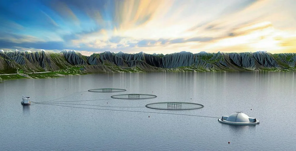 OPTIMIST: Marine Harvest har fått fire utviklingskonsesjoner for test og utvikling av den lukkede konstruksjonen «Egget». Sintef-frosker Karl A. Almås tror slike utviklingstillatelser kan bidra til å nå vekstmålet i 2050.Foto: Hauge Aqua