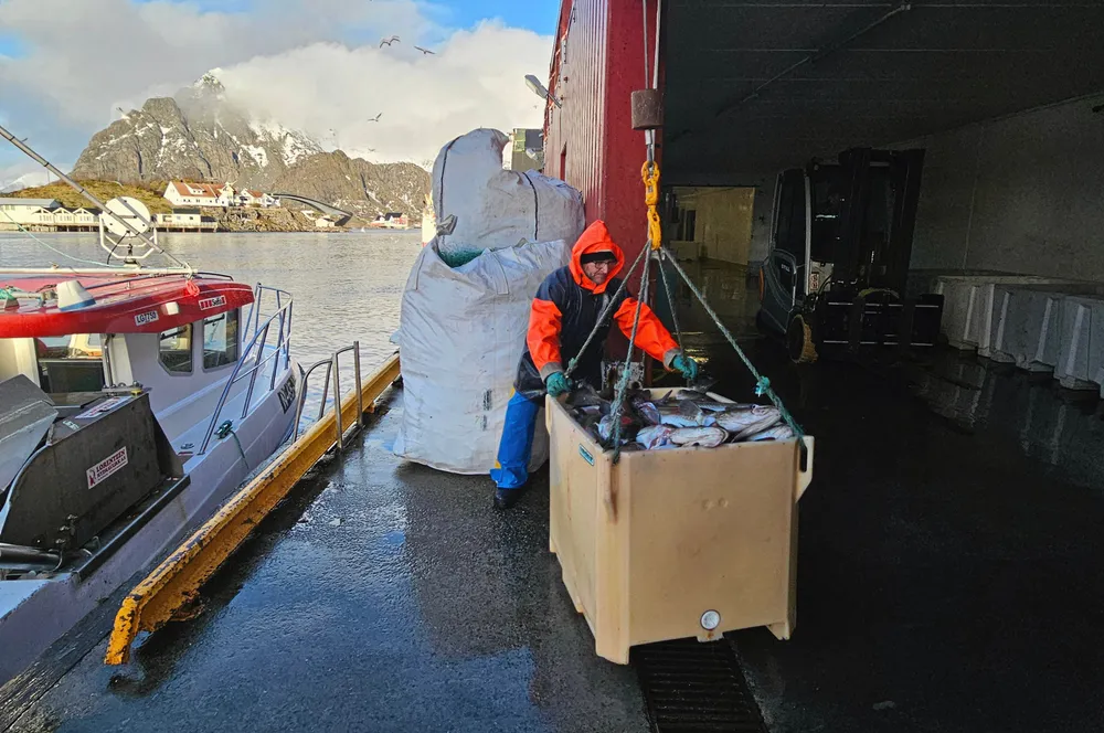Holger R. Pedersen har losset fisk sammen med sin sønn Patrick Pedersen på Gadus. 2025 kommer til å bli et tøft år for bransjen.