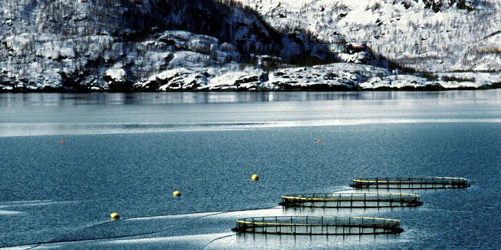The Norwegian Seafood Council's US office is striving to teach US consumers about the country's aquaculture practices.