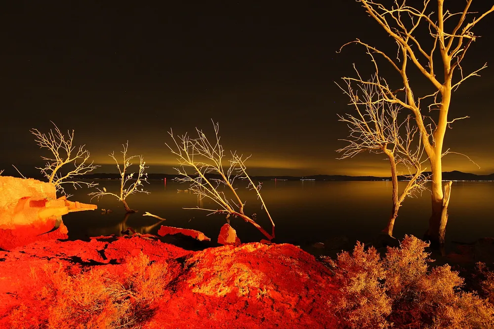 Going to California: light from a geothermal energy plant in the US state illuminates dead trees flooded by the rising waters from the Salton Sea
