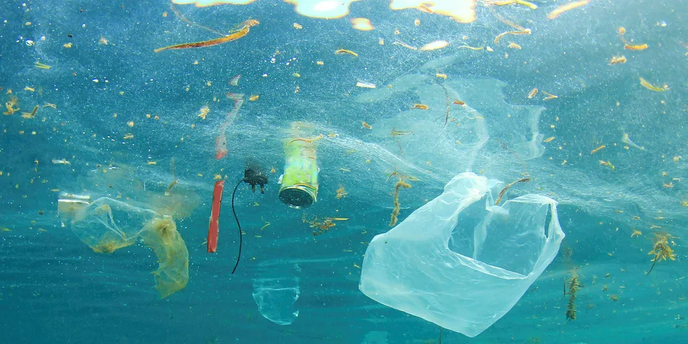 It is estimated that there is now a 1:2 ratio of plastic to plankton.