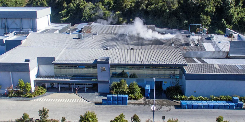 Camanchaca's Rauco mussel processing plant on Chiloe island.