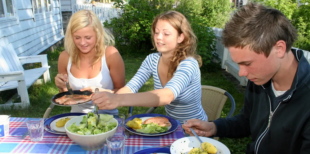 Hvordan skal man få flere ungdommer til å spise fisk?