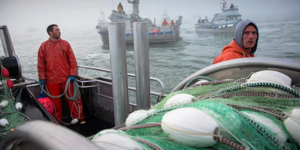 Colder ocean temperatures but bigger fish sizes are all part of the UW Salmon program' 2023 Bristol Bay salmon forecast.
