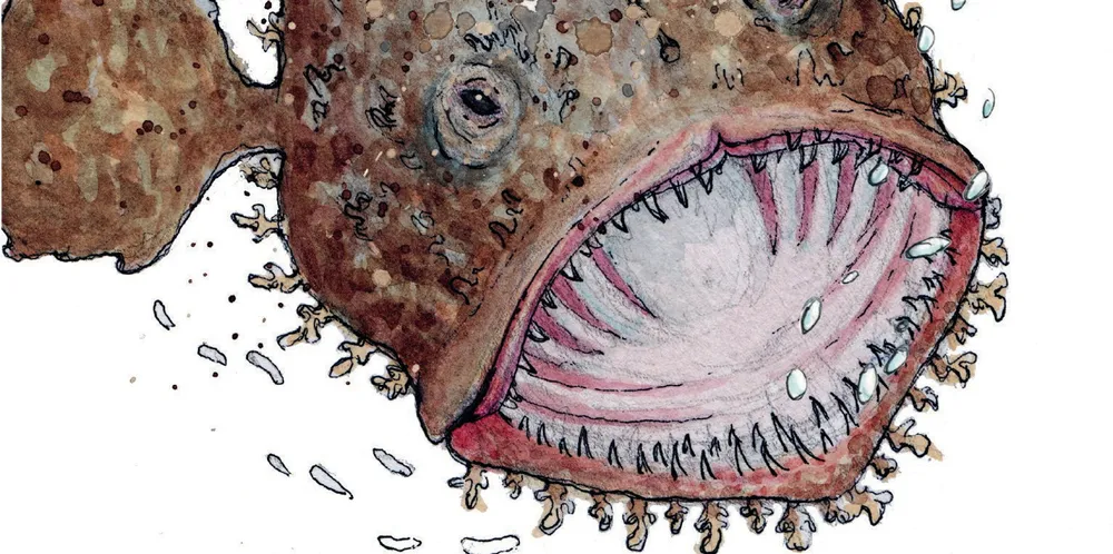 Pia Ve Dahlens havfortellinger er illustrert av Gunvor Rasmussen.