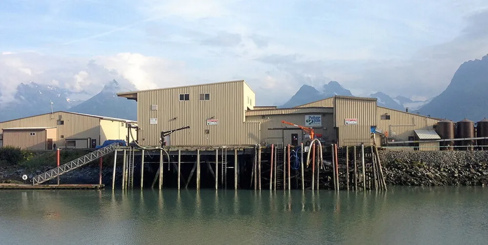 There are several major operators in Prince William sound during the summer salmon season, including Peter Pan's operations in Valdez, Alaska.