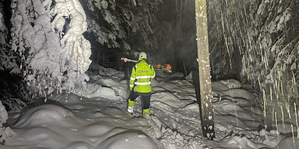 Elvia har rundt 100 mann ute i felt for å feilrette tirsdag.