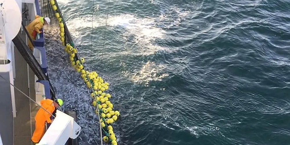 «Fiskebas» på makrellfiske. Foto: Privat