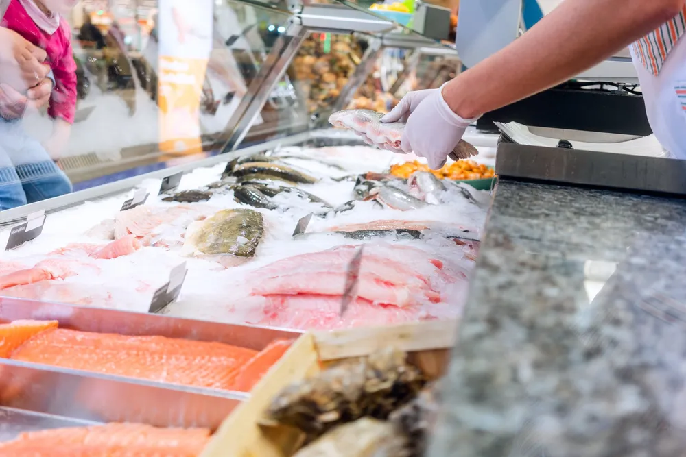 The steady gains of fresh salmon sales are eclipsed, however, by this year's surge in sales of fresh trout and tilapia.