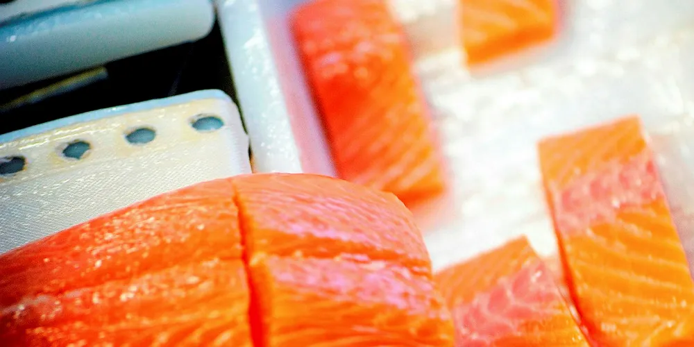 Norway salmon fillets value adding PLEASE CREDIT Tom Haga_NSEC