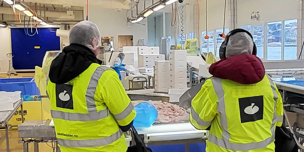 Skatteetaten gjennomførte flere kontroller i fiskerinæringen. Bildet viser kontrollørene på ett av brukene som ble kontrollert.