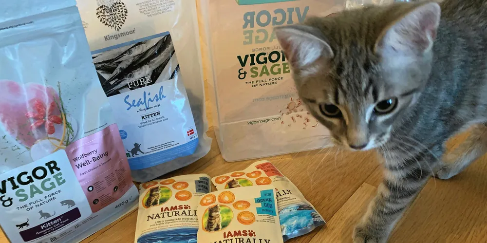 SJØMAT: Det begeistret meg å oppdage at mye av kattematen enten består av sjømat, eller er smakstilsatt med marine ingredienser.
