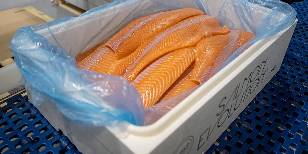 Salmon from Salmon Evolution's first harvest have been sold to a selected group of customers in Norway and abroad.
