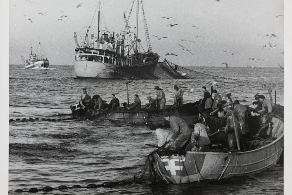 Filmen ble vist på norske kinoer i 1959.