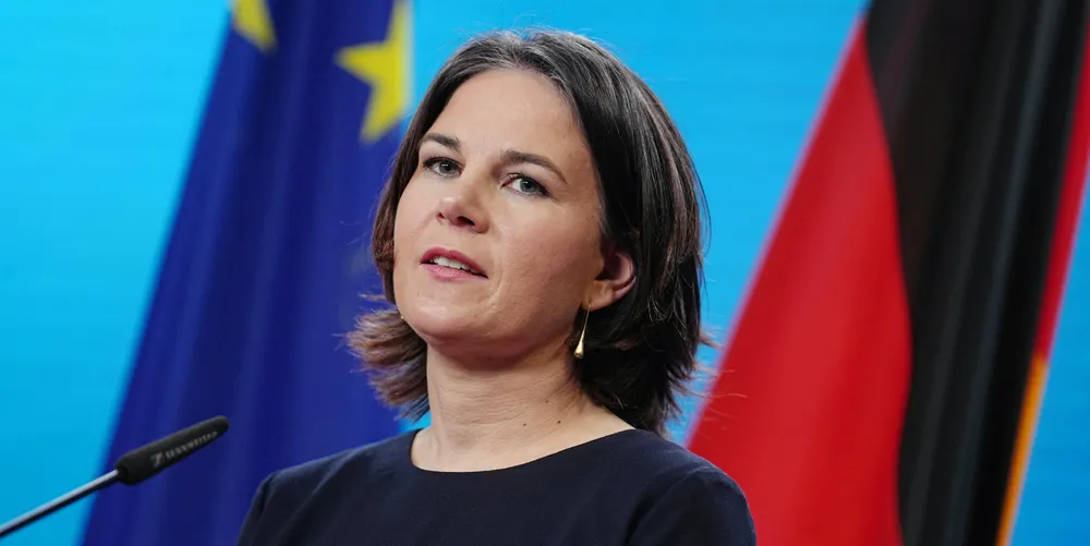 German foreign minister Annalena Baerbock after meeting US secretary of state Antony Blinken last week to discuss Ukraine