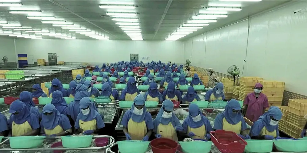 Processing at Falcon Marine Exports, India.