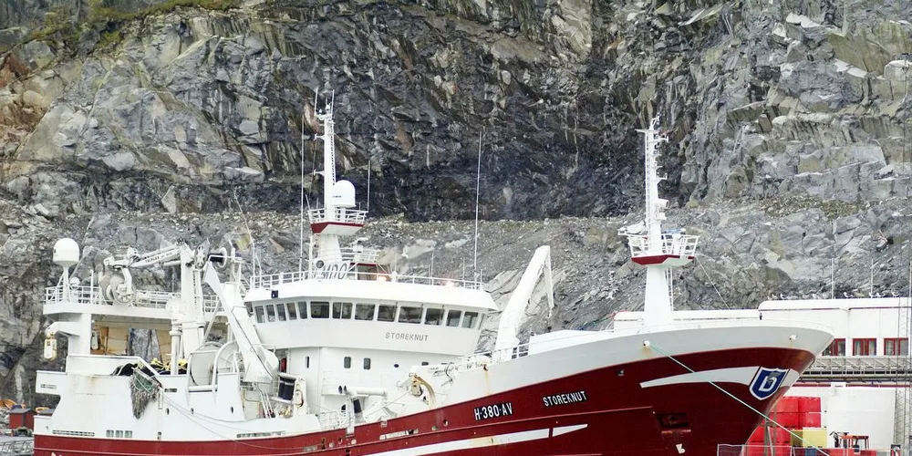 BRISLING: «Storeknut» av Austevoll tok årets første havbrisling.