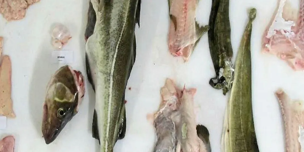 MATSVINN: I bransjeavtalen er matsvinn definert som alle nyttbare deler av mat produsert for mennesker, men som enten kastes eller tas ut av matkjeden til andre formål enn menneskeføde.