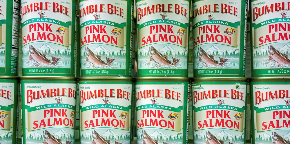 Canned salmon bumble bee pink salmon.