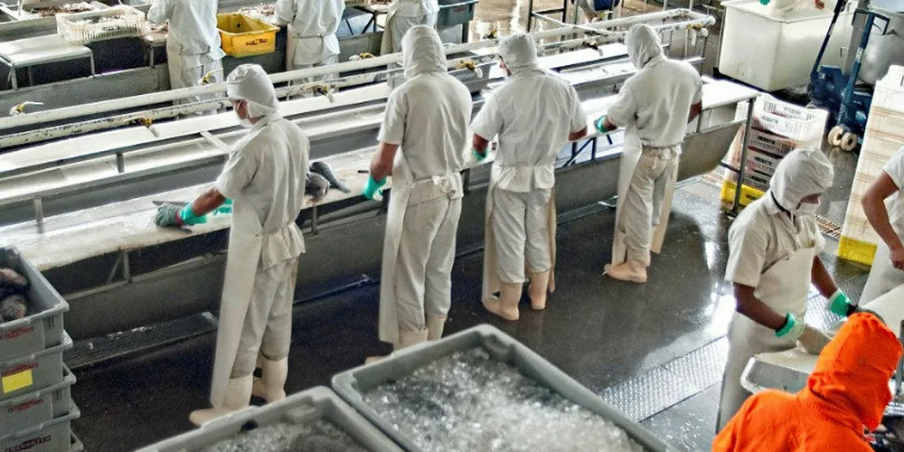 Brazil processors fear job losses in the absence of government aid.