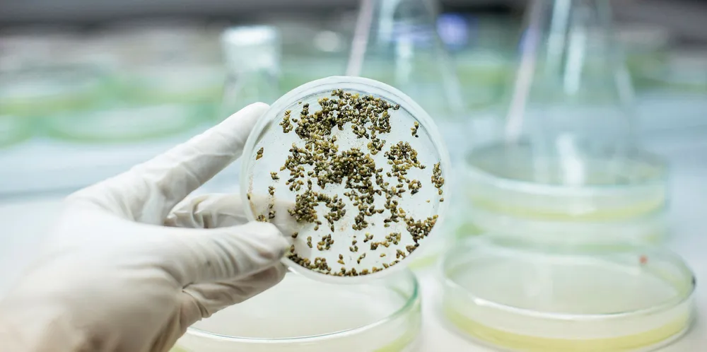 Should lab-grown seafood be labeled? BlueNalu founder says yes.